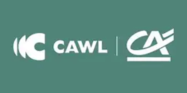 cawl
